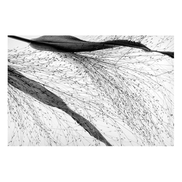 Magneetborden Delicate Reed With Subtle Buds Black And White