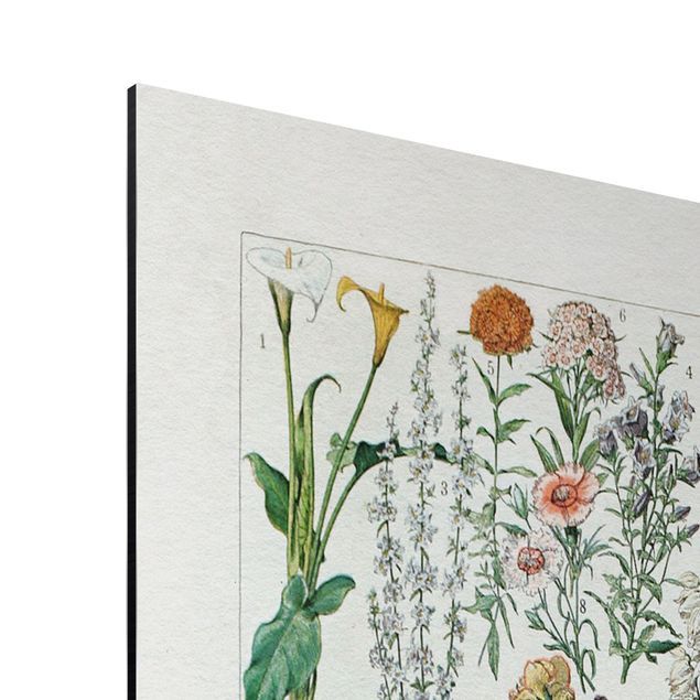 Aluminium Dibond schilderijen Vintage Board Flowers I
