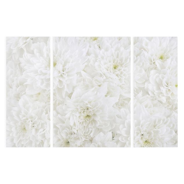 Canvas schilderijen - 3-delig Dahlias Sea Of Flowers White