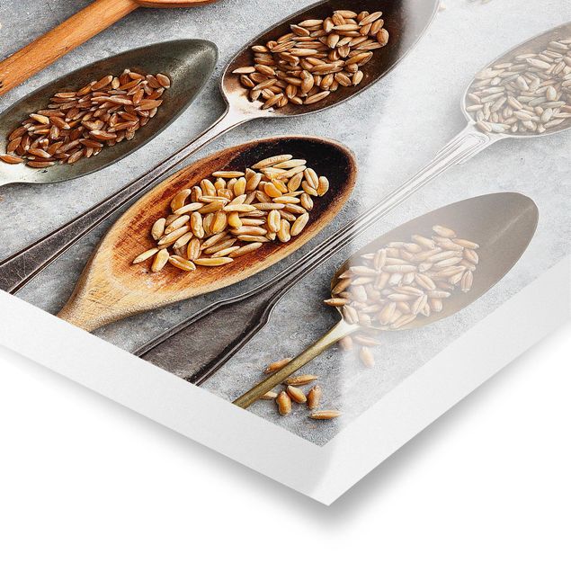 Posters Cereal Grains Spoon
