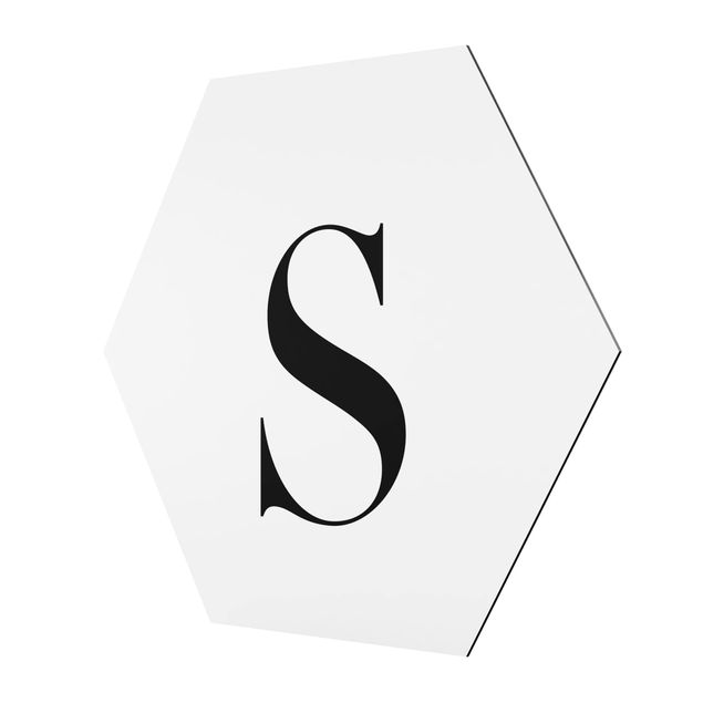 Hexagons Aluminium Dibond schilderijen Letter Serif White S