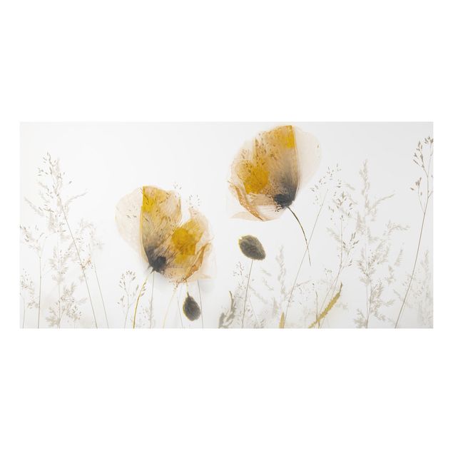 Aluminium Dibond schilderijen Poppy Flowers And Delicate Grasses In Soft Fog