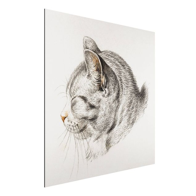 Aluminium Dibond schilderijen Vintage Drawing Cat III