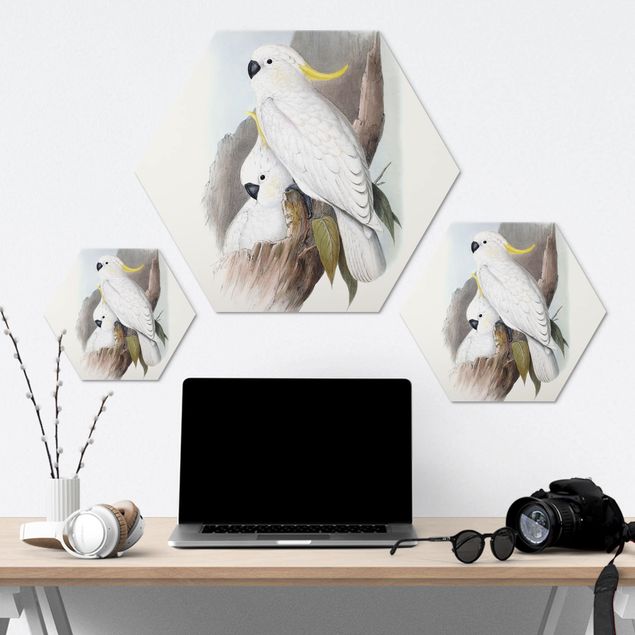 Hexagons Aluminium Dibond schilderijen Pastel Parrots III