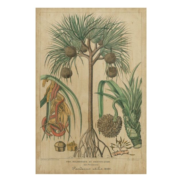 Houten schilderijen Vintage Board Exotic Palms I