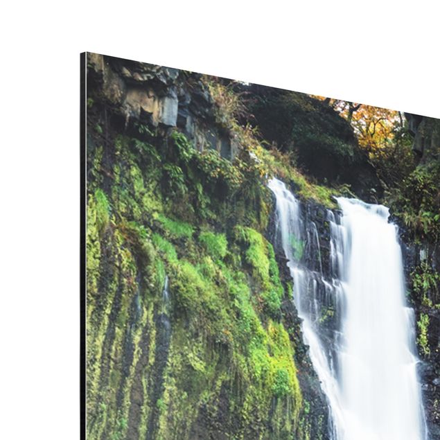 Aluminium Dibond schilderijen Shiraito Waterfall