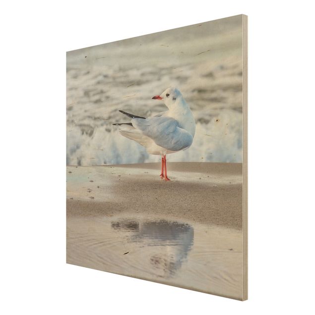 Houten schilderijen Seagull On The Beach In Front Of The Sea