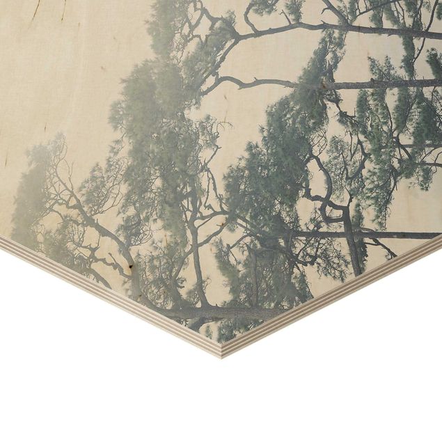Hexagons houten schilderijen Treetops In Fog
