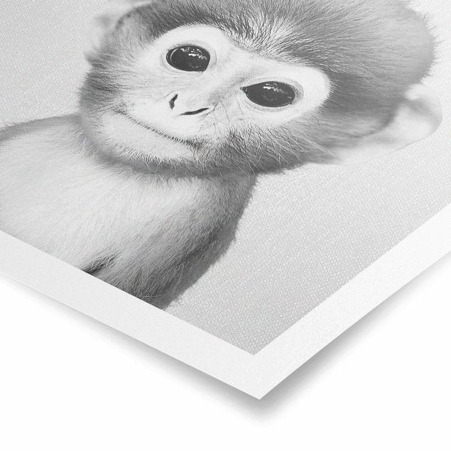 Poster - Baby Affe Anton Schwarz Weiß - Quadrat 1:1