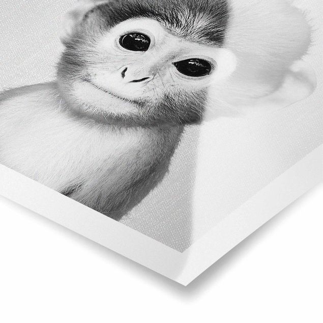 Poster - Baby Affe Anton Schwarz Weiß - Quadrat 1:1