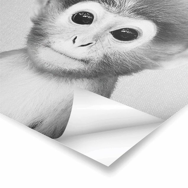 Poster - Baby Affe Anton Schwarz Weiß - Hochformat 3:4