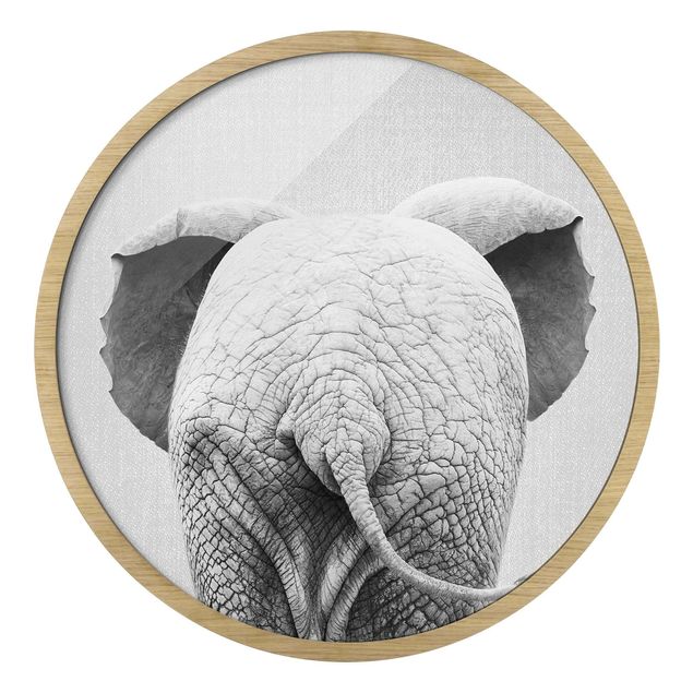 Rond schilderijen Baby Elephant From Behind Black And White