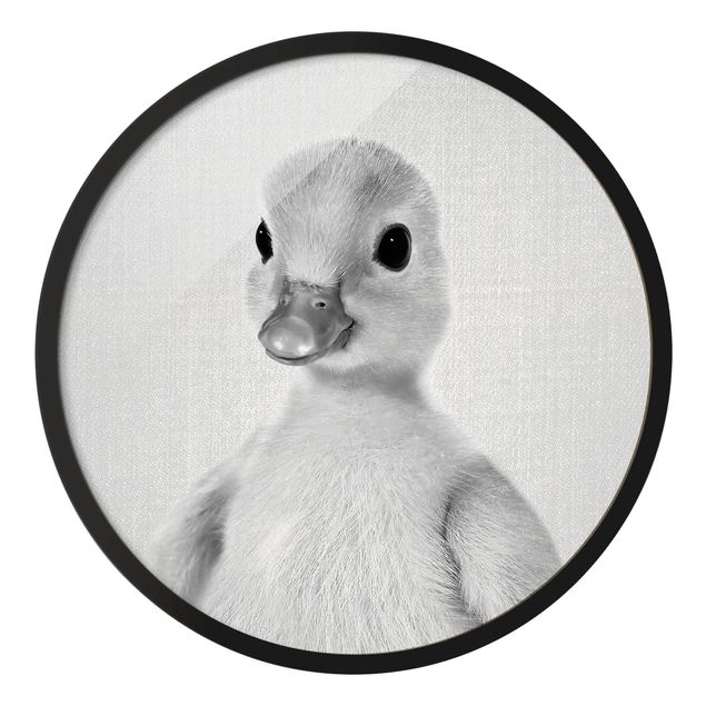 Rond schilderijen Baby Duck Emma Black And White