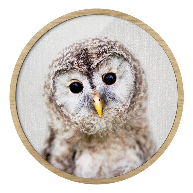 Rond schilderijen Baby Owl Erika