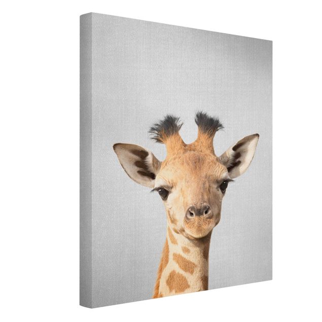 Leinwandbild - Baby Giraffe Gandalf - Hochformat 3:4