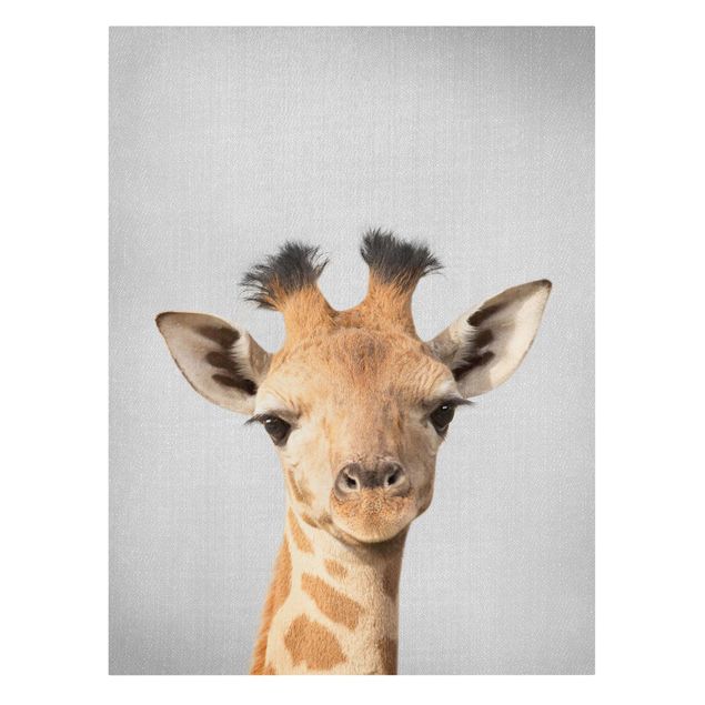 Leinwandbild - Baby Giraffe Gandalf - Hochformat 3:4