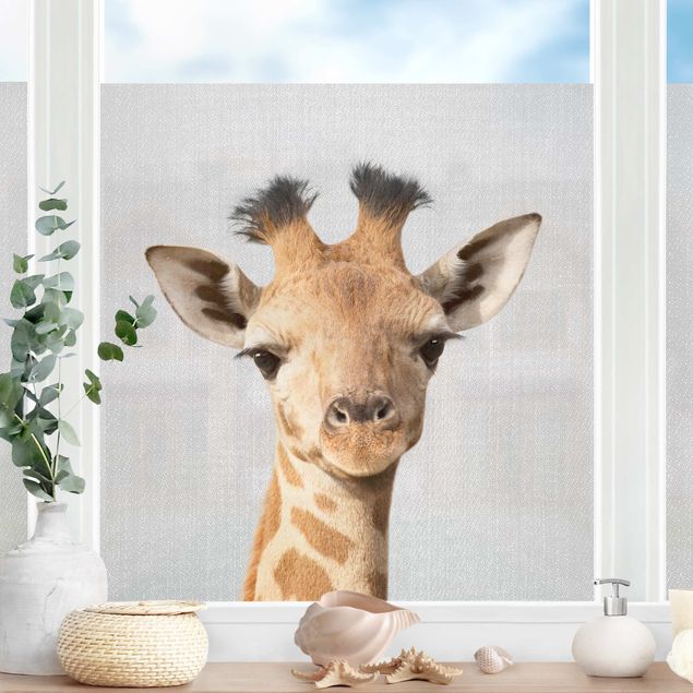 Raamfolie - Baby Giraffe Gandalf