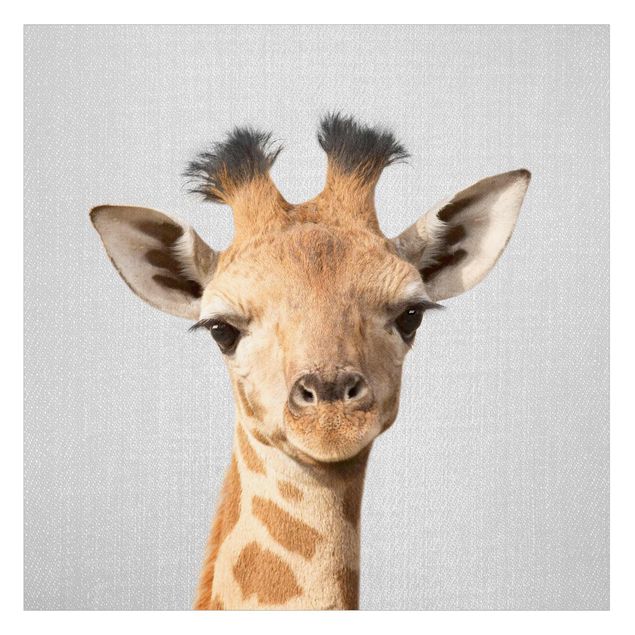 Raamfolie - Baby Giraffe Gandalf