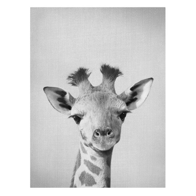 Leinwandbild - Baby Giraffe Gandalf Schwarz Weiß - Hochformat 3:4