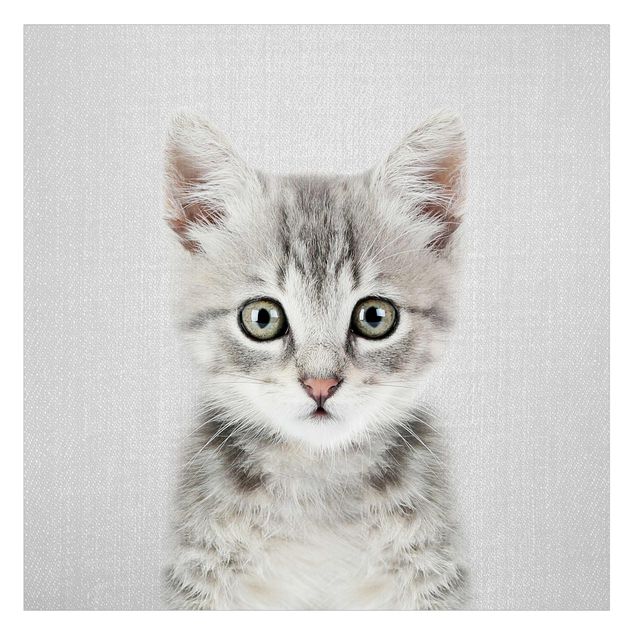 Raamfolie - Baby Cat Killi
