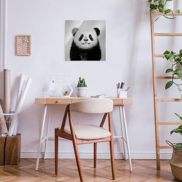 Glasschilderijen - Baby Panda Prian Black And White