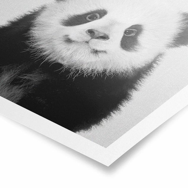 Poster - Baby Panda Prian Schwarz Weiß - Quadrat 1:1