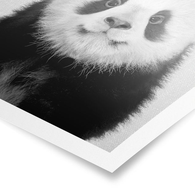 Poster - Baby Panda Prian Schwarz Weiß - Hochformat 3:4