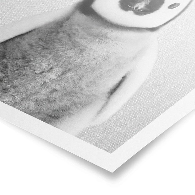Poster - Baby Pinguin Pepe Schwarz Weiß - Hochformat 3:4