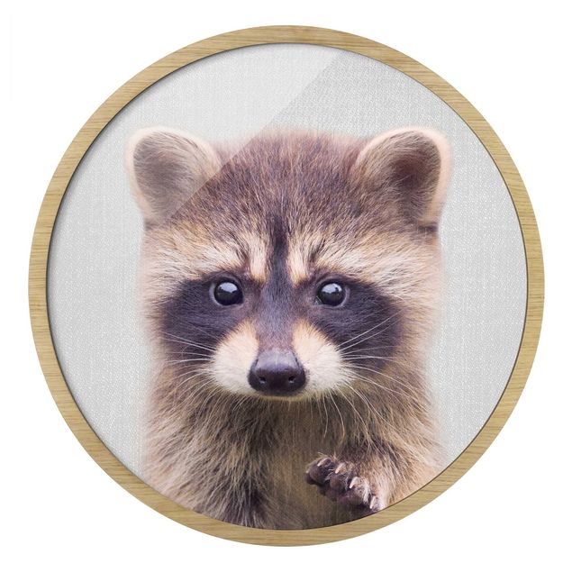 Rond schilderijen Baby Raccoon Wicky