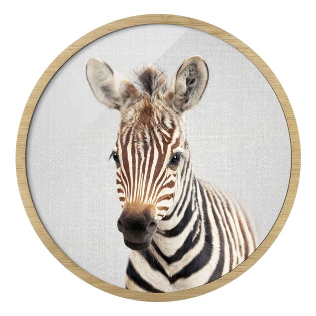 Rond schilderijen Baby Zebra Zoey
