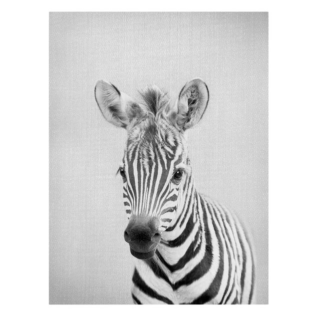 Leinwandbild - Baby Zebra Zoey Schwarz Weiß - Hochformat 3:4
