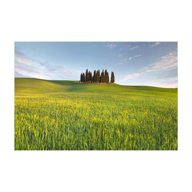 Vloerkleed eetkamer Green Field In Tuscany