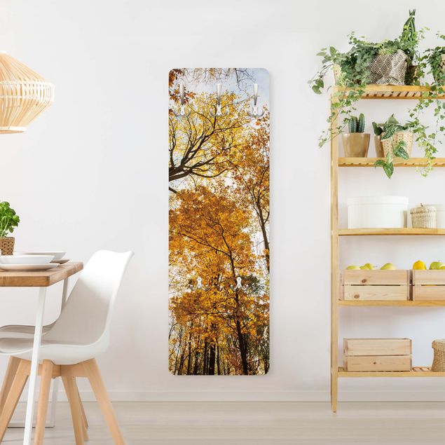 Wandkapstokken houten paneel - Trees in autumnal colouring