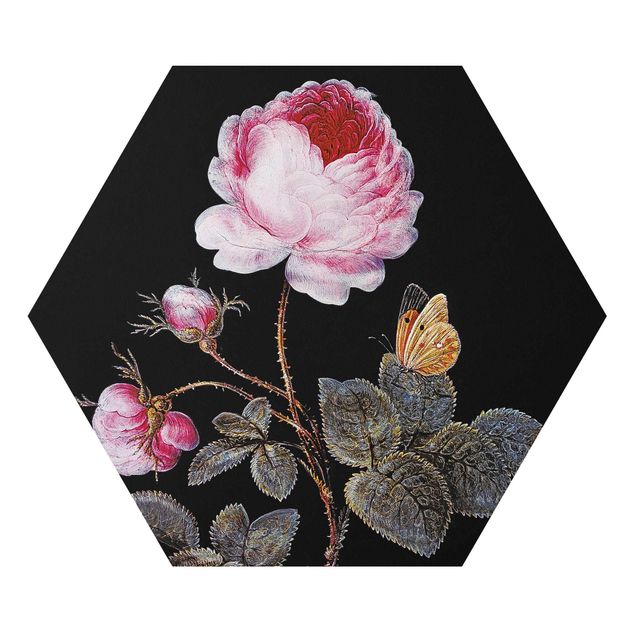 Hexagons Aluminium Dibond schilderijen - Barbara Regina Dietzsch - The Hundred-Petalled Rose