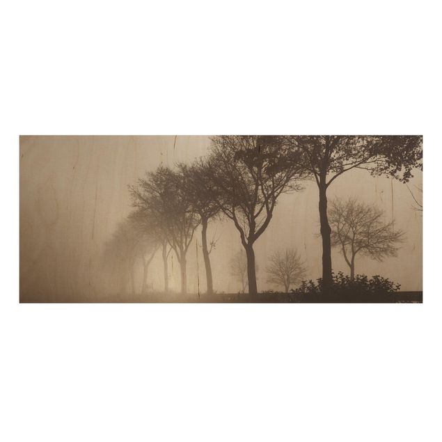 Houten schilderijen Tree Avanue In Morning Mist