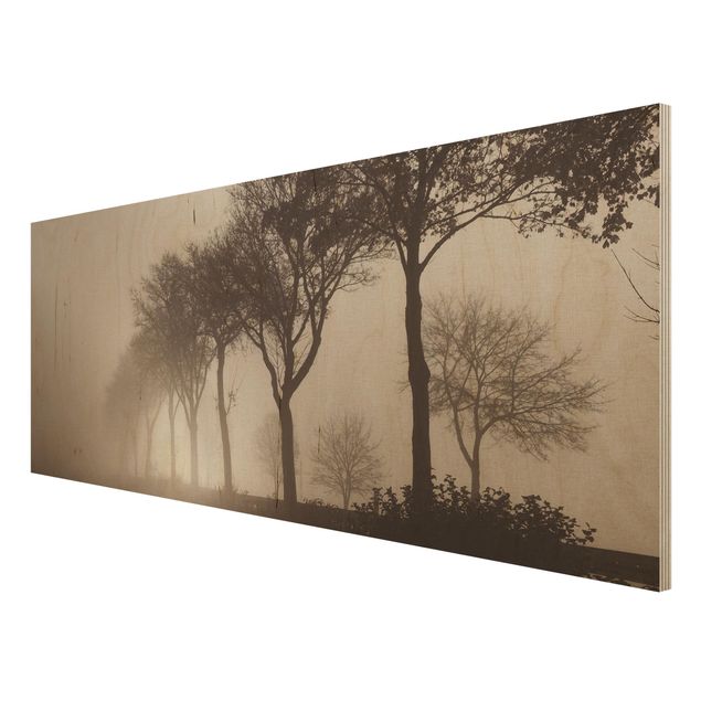 Houten schilderijen Tree Avanue In Morning Mist