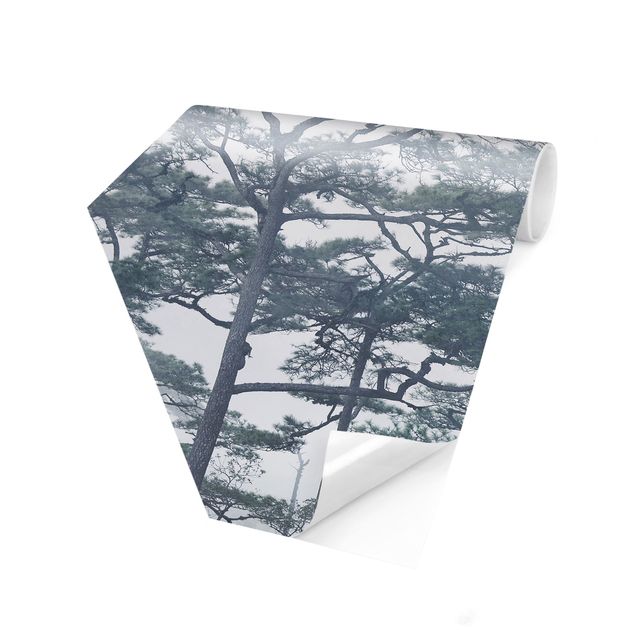 Hexagon Behang Treetops In Fog