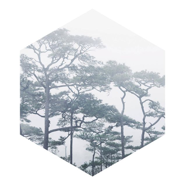 Hexagon Behang Treetops In Fog