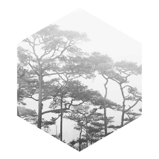 Hexagon Behang Treetops In Fog Black And White