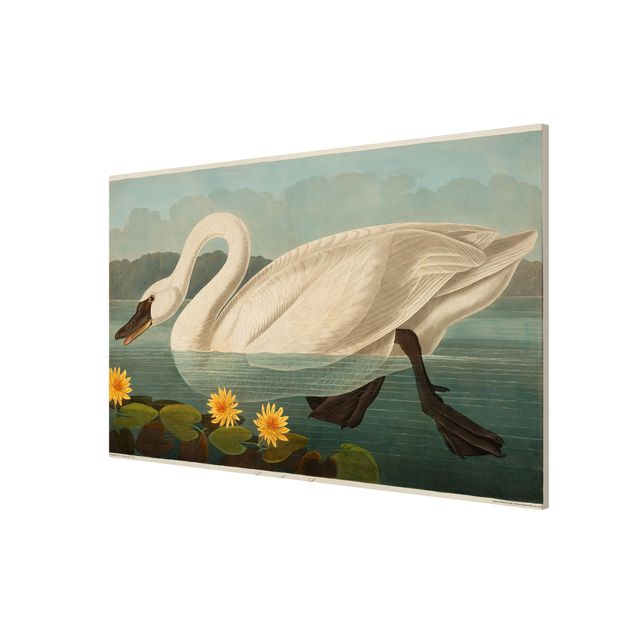 Magneetborden Vintage Board American Swan