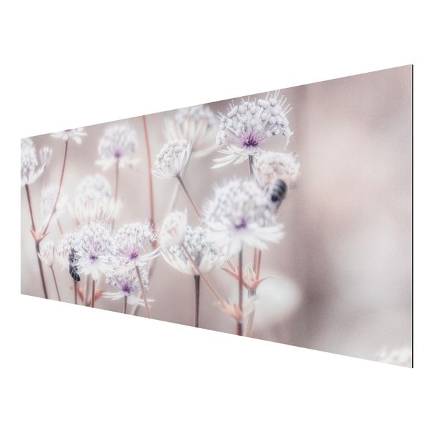 Aluminium Dibond schilderijen Wild Flowers Light As A Feather