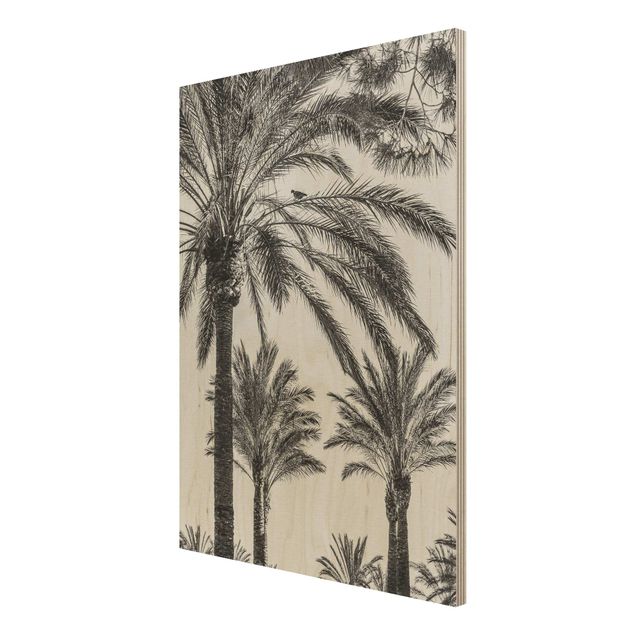 Houten schilderijen Palm Trees At Sunset Black And White