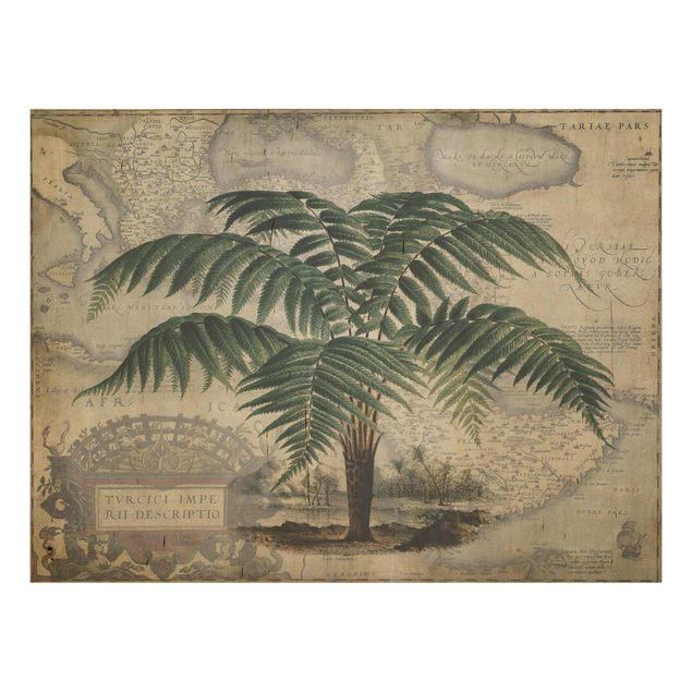 Houten schilderijen Vintage Collage - Palm And World Map