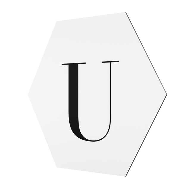 Hexagons Aluminium Dibond schilderijen Letter Serif White U