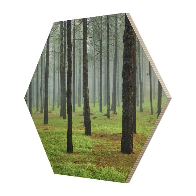Hexagons houten schilderijen Deep Forest With Pine Trees On La Palma
