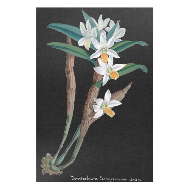Magneetborden White Orchid On Linen I