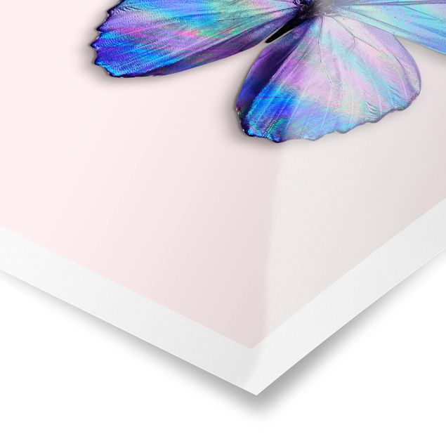 Posters Holographic Butterfly