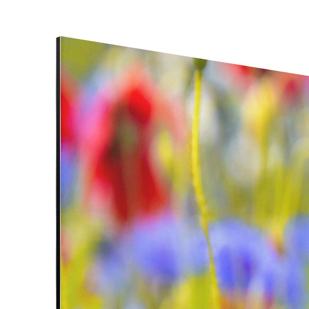 Aluminium Dibond schilderijen Summer Meadow With Poppies And Cornflowers