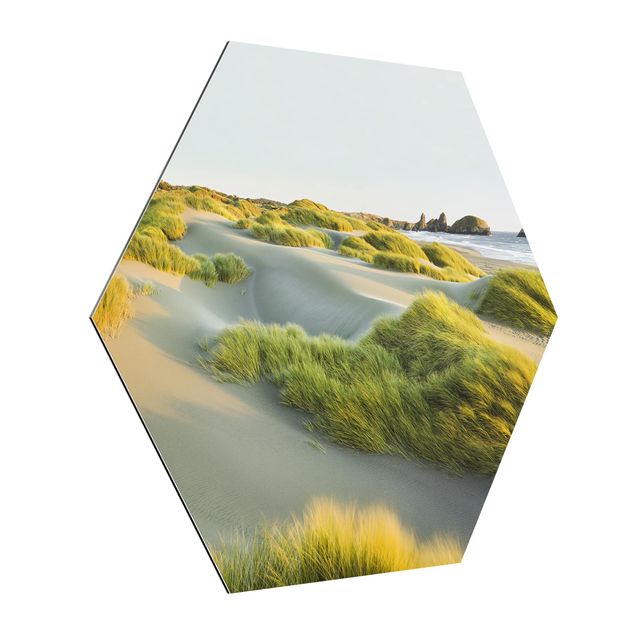 Hexagons Aluminium Dibond schilderijen Dunes And Grasses At The Sea