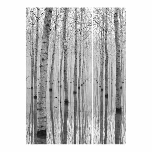 Schuifgordijnen Birches In November